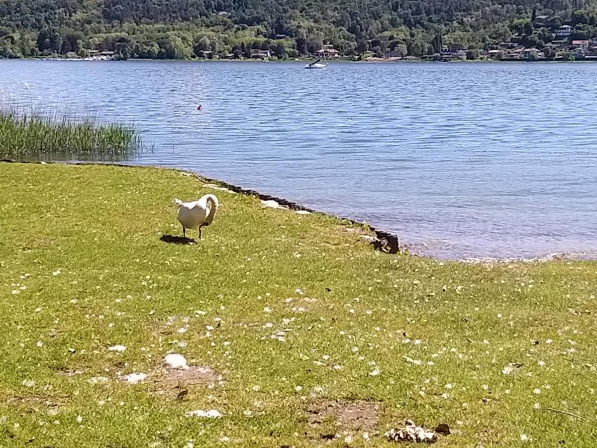 Ritratto Sul Lago Dormelletto Bagian luar foto